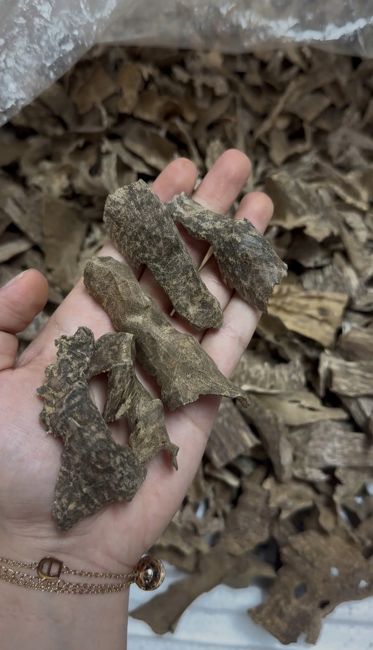 Premium Drilled Oud Pieces – Natural Oud Chips for Burning &amp; Home Fragrance